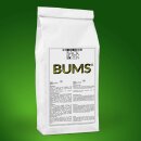 BUMS ® Universalmörtel schnell, weiß 5 kg